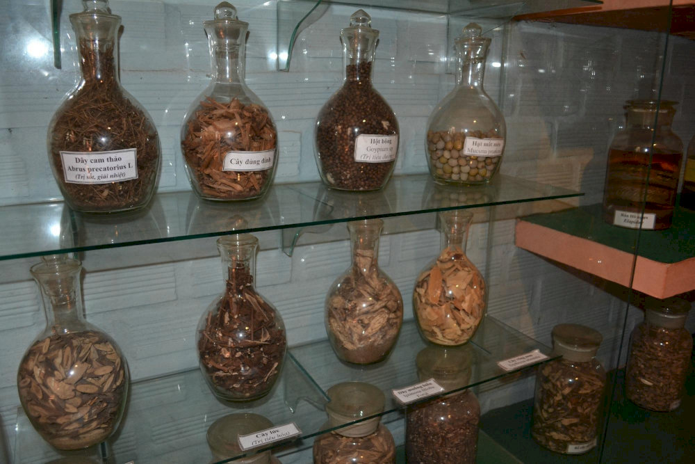 These preserved herbs reflect the rich knowledge of traditional Vietnamese medicine in Phu Quoc